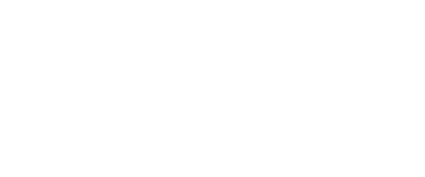 White Booz Allen Hamilton logo