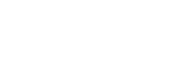 White Department of Transportation logo
